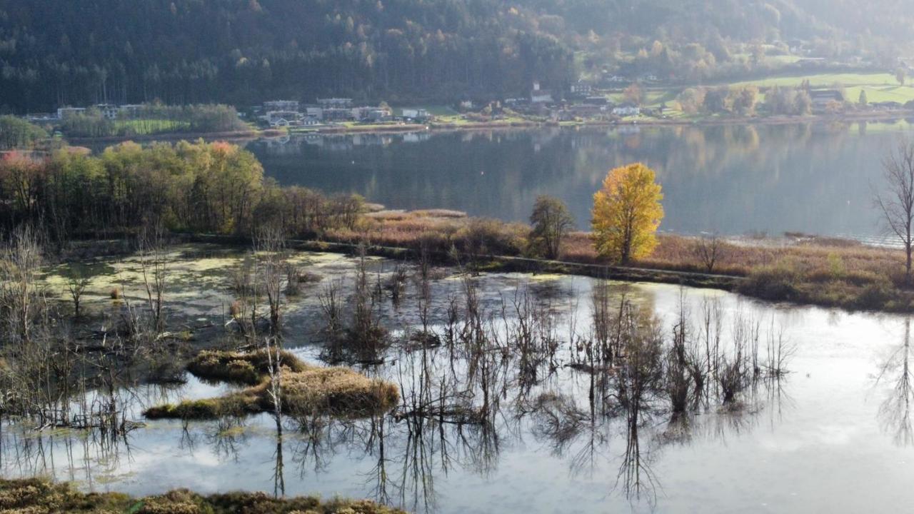 Ferienwohnung Kamot Штайндорф-ам-Оссиахер-Зее Экстерьер фото